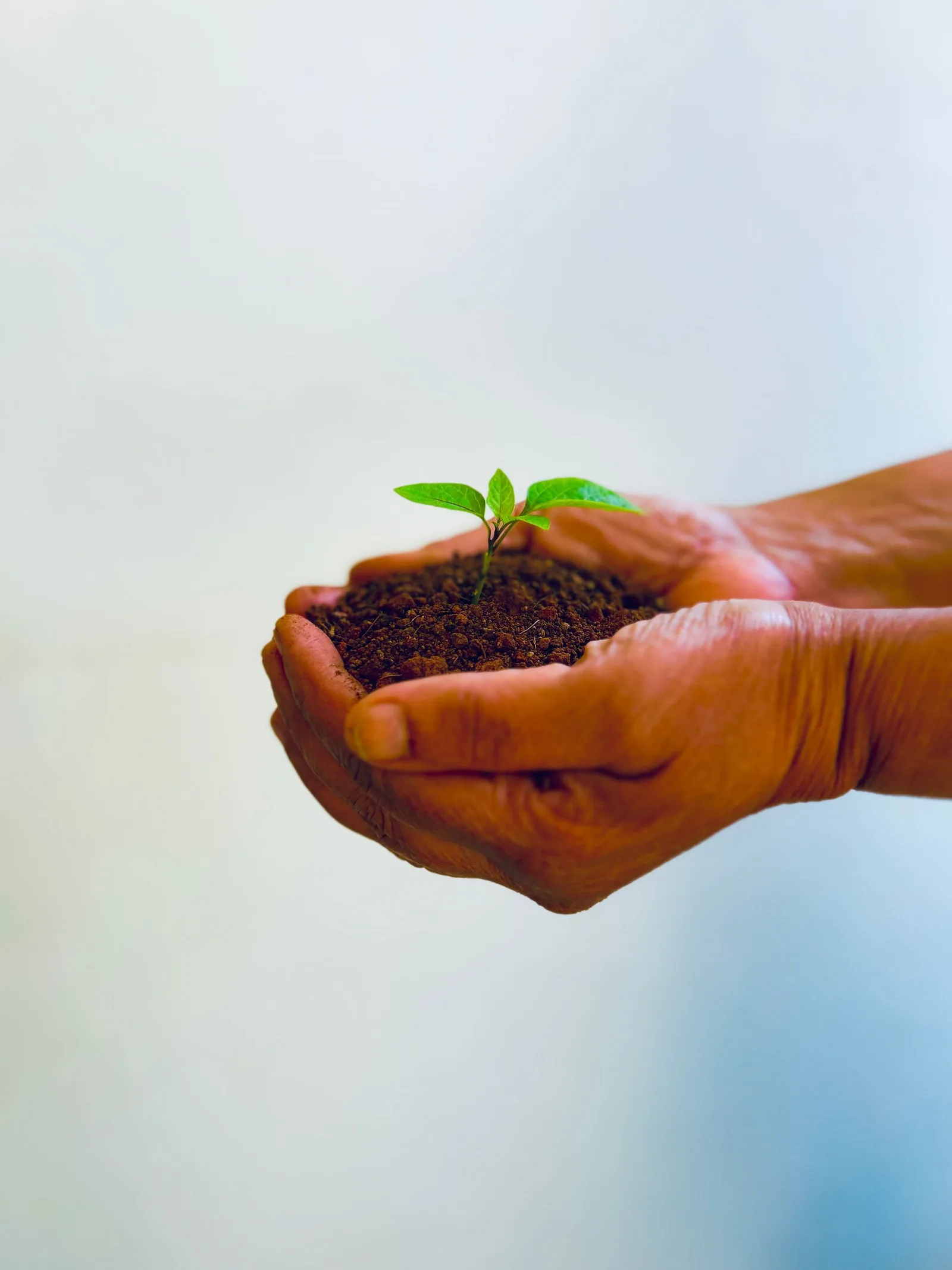 Sustainable growth